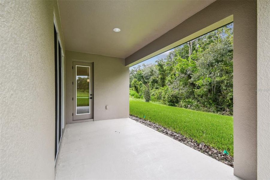 Spacious, unfurnished interior of a new home in Hidden Ridge, New Port Richey (Image 52).