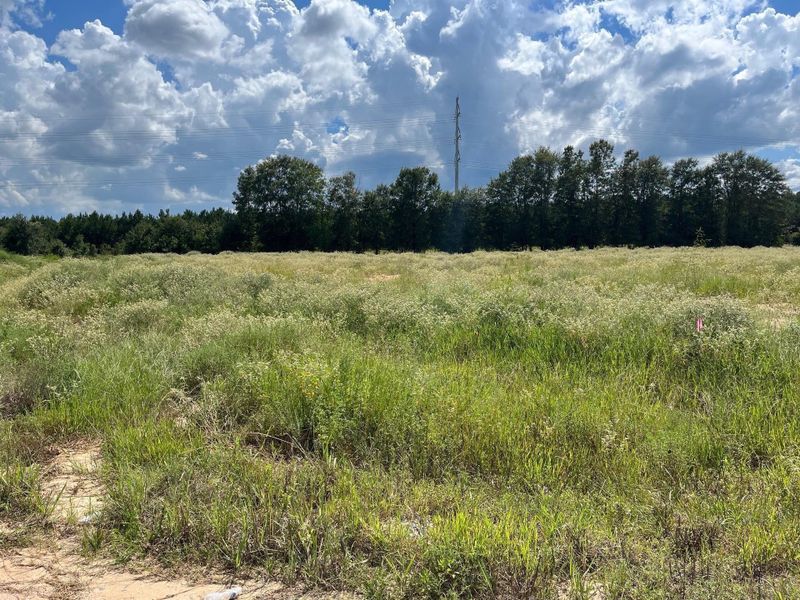 Natural landscape and outdoor views near Santa Fe in Cleveland (Image 17).