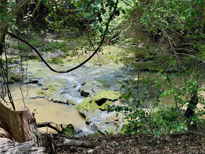 Natural landscape and outdoor views near  in Brenham (Image 15).