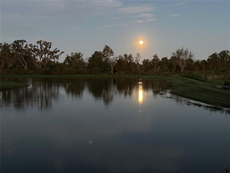 Natural landscape and outdoor views near Farm at Varrea in Plant City (Image 61).