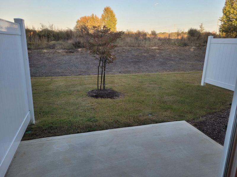 Exterior details and patio area of a home in 1158 Place Townhomes, Wilson (Image 2).