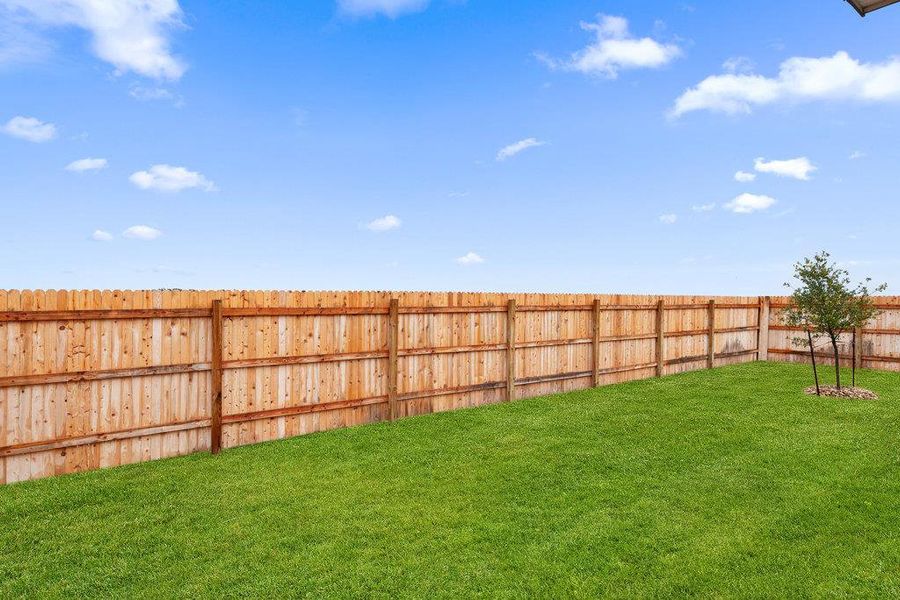 View of fenced backyard