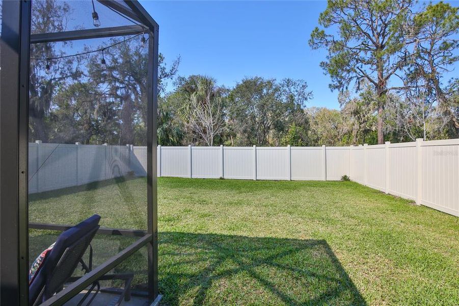 Tranquil Backyard Setting