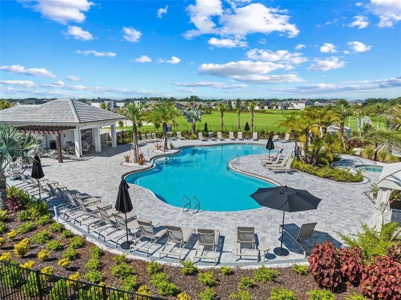 Community amenities in , Bradenton (Image 37). Community amenities in , Bradenton (Image 37).