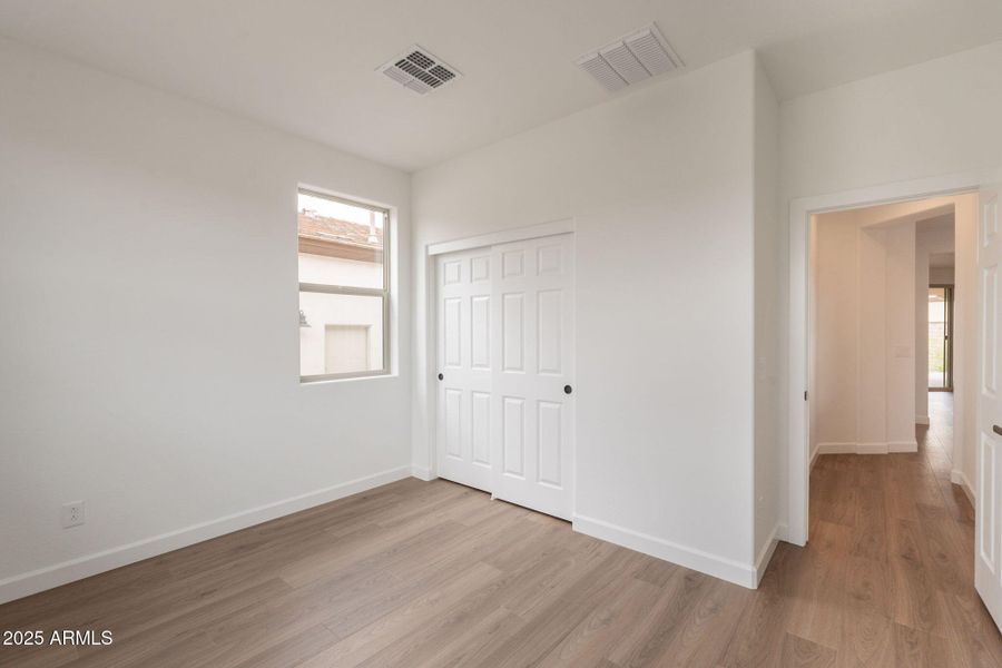 10-web-or-mls-Bittercress-10 10-web-or-mls-Bittercress-10