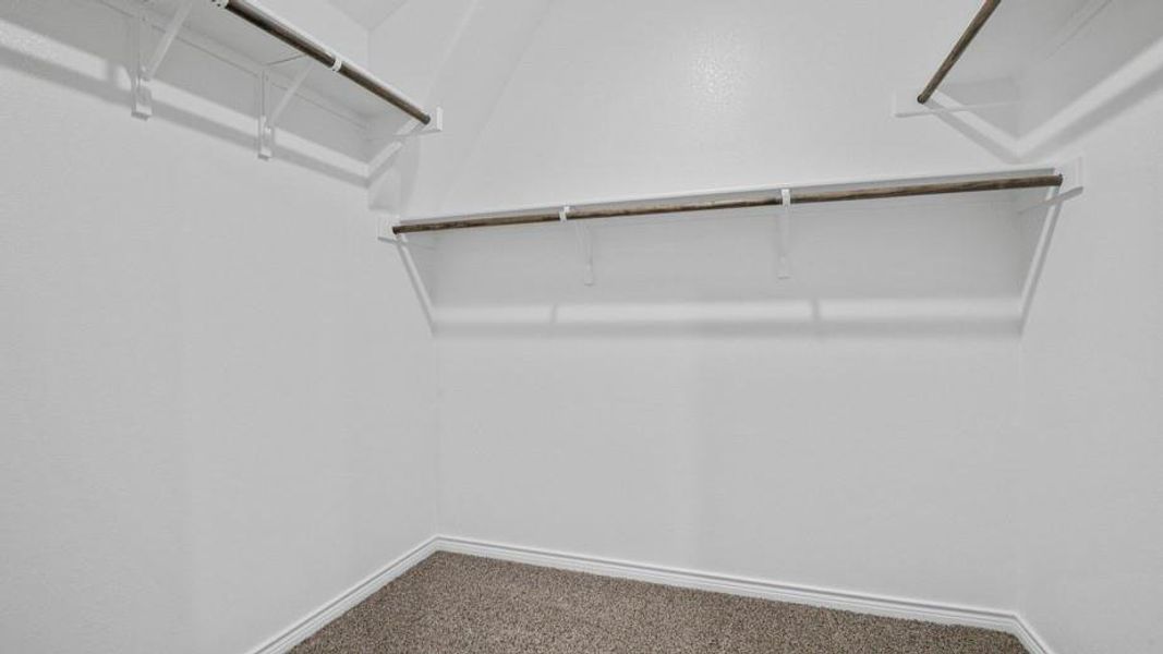 Spacious closet with carpet floors