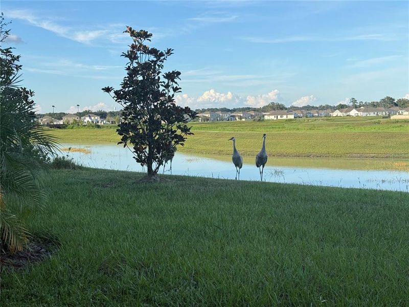 Image 34 of a home in .