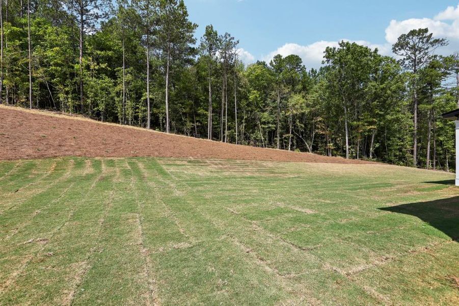 Natural landscape and outdoor views near Savoy Park in Covington (Image 40).