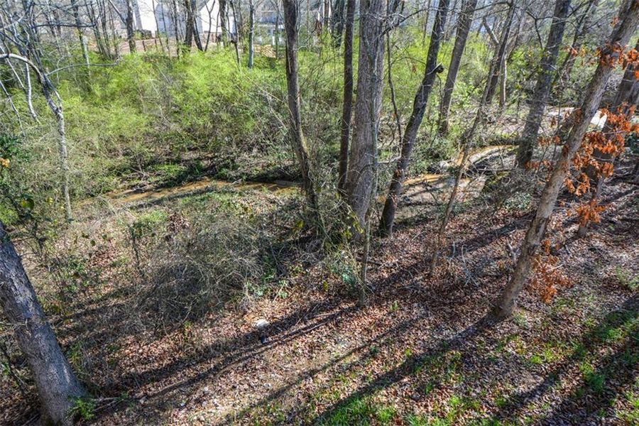 Natural landscape and outdoor views near  in Winder (Image 59).