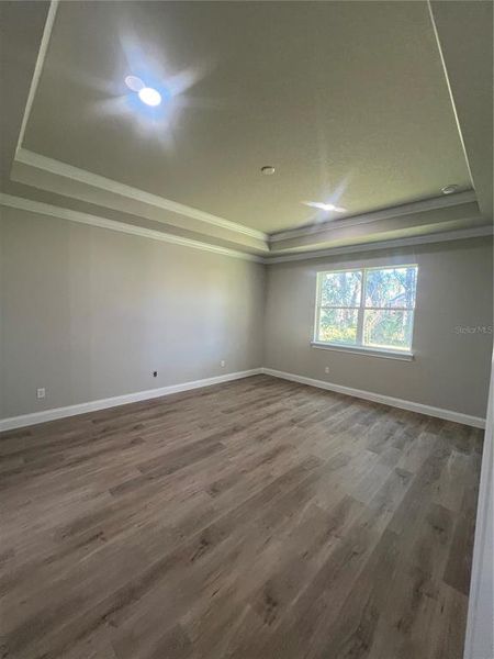 PRIMARY BEADROOM TRAY CEILING