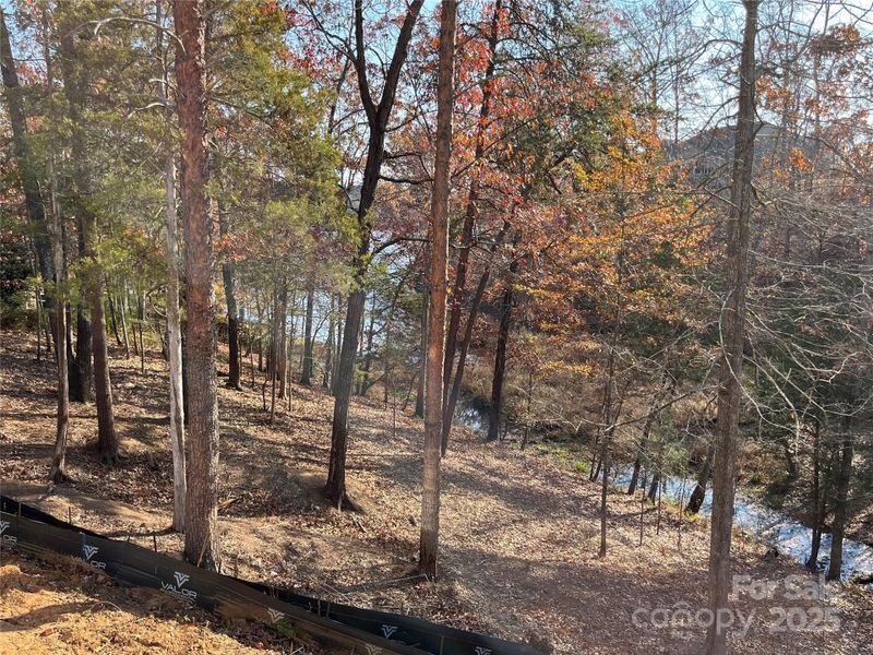 Natural landscape and outdoor views near  in York (Image 27).