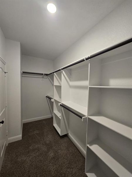 Walk in closet featuring dark colored carpet