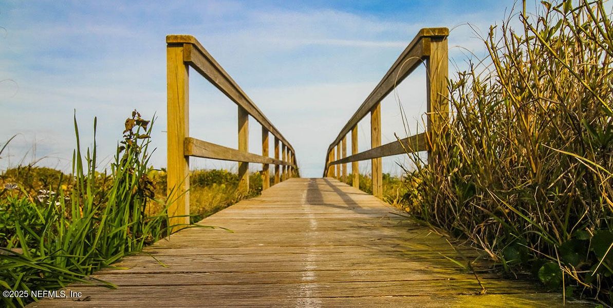 Natural landscape and outdoor views near  in Ponte Vedra Beach (Image 46).