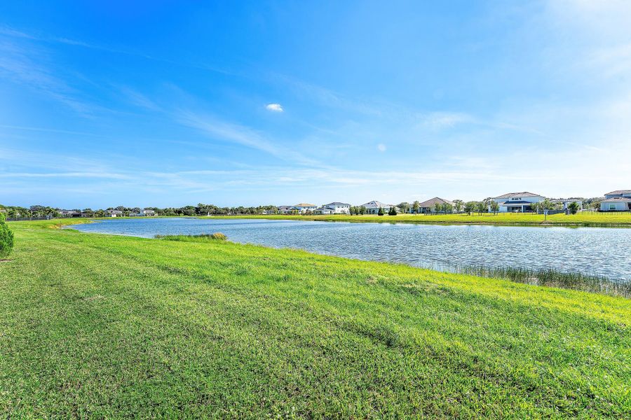 Lake view Lake view