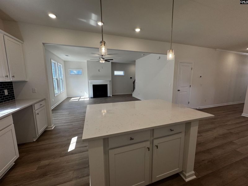 Furnished interior view inside a new home in Boykin Hills, Chapin (Image 6).