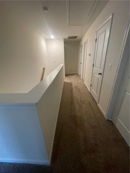 Spacious, unfurnished interior of a new home in Springwood Grove, Central (Image 39).