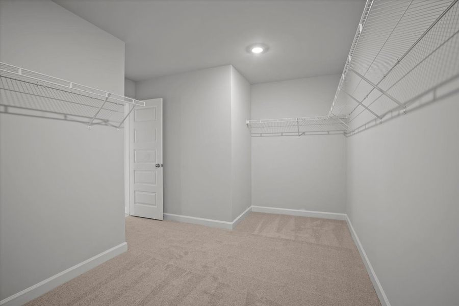 Spacious, unfurnished interior of a new home in The Farm at Wells Creek - Signature Collection, Gray Court (Image 30).