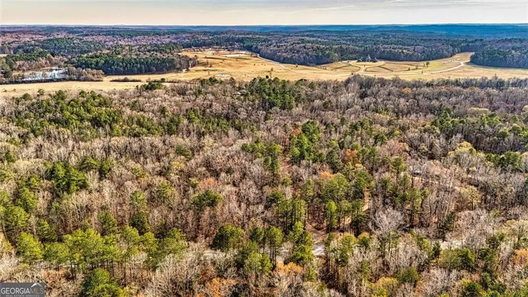 Natural landscape and outdoor views near in Douglasville (Image 55). Natural landscape and outdoor views near in Douglasville (Image 55).