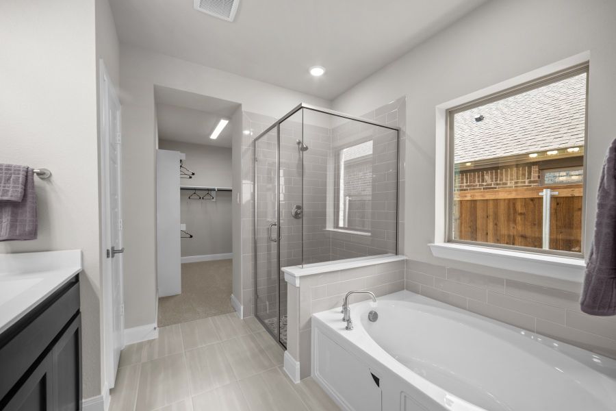 Owner's Bath