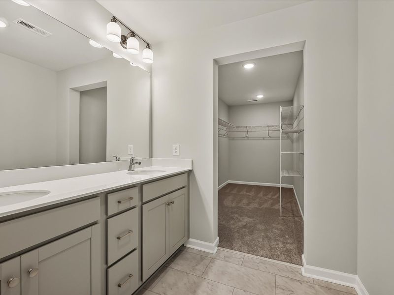 Owner's Bath