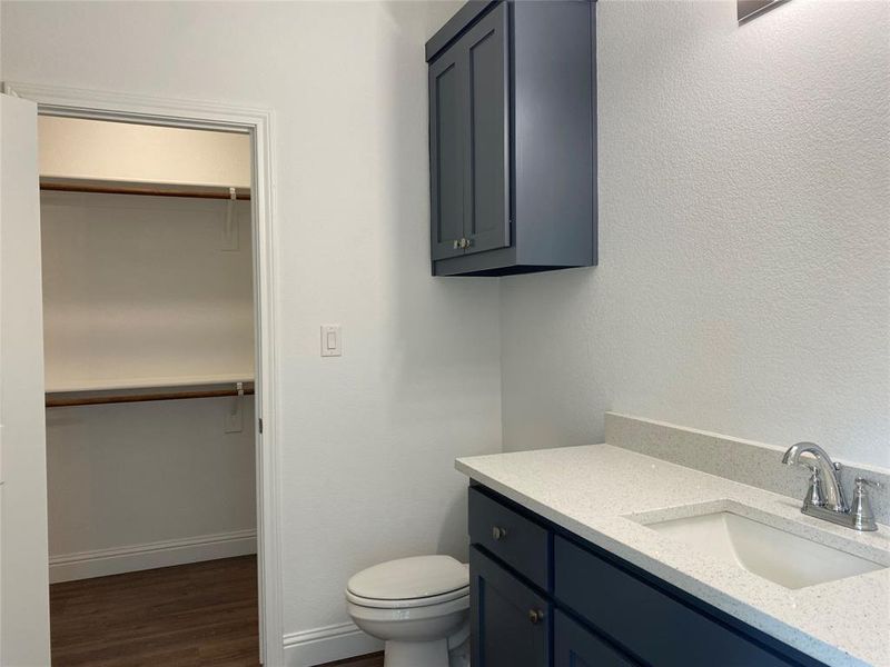 Bathroom featuring vanity, dark wood finished floors, and a walk in closet Bathroom featuring vanity, dark wood finished floors, and a walk in closet
