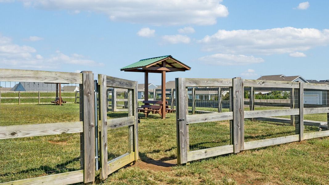 Community amenities associated with the BRYAN A by D.R. Horton in Harvest Point, Spring Hill (Image 7).