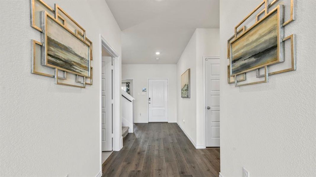 Entryway featuring wood-finish flooring, white paneled doors, and a staircase with white risers and dark treads