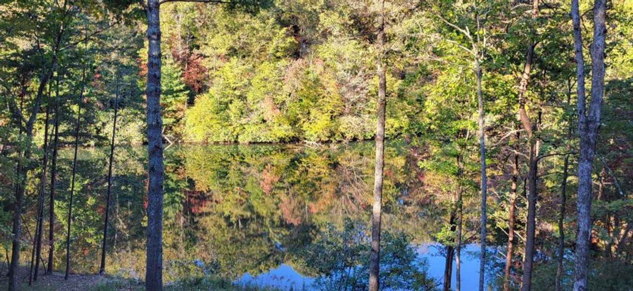 Natural landscape and outdoor views near in Ellijay (Image 34). Natural landscape and outdoor views near in Ellijay (Image 34).