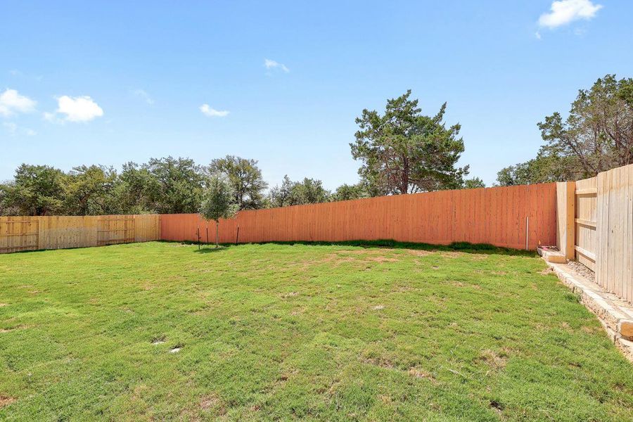 Backyard