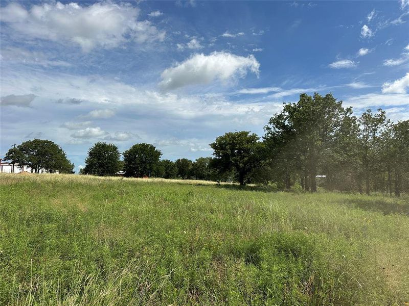 Expansive grassy field offering open space and mature trees, featuring a distant structure with a white exterior and a red roof accent Expansive grassy field offering open space and mature trees, featuring a distant structure with a white exterior and a red roof accent