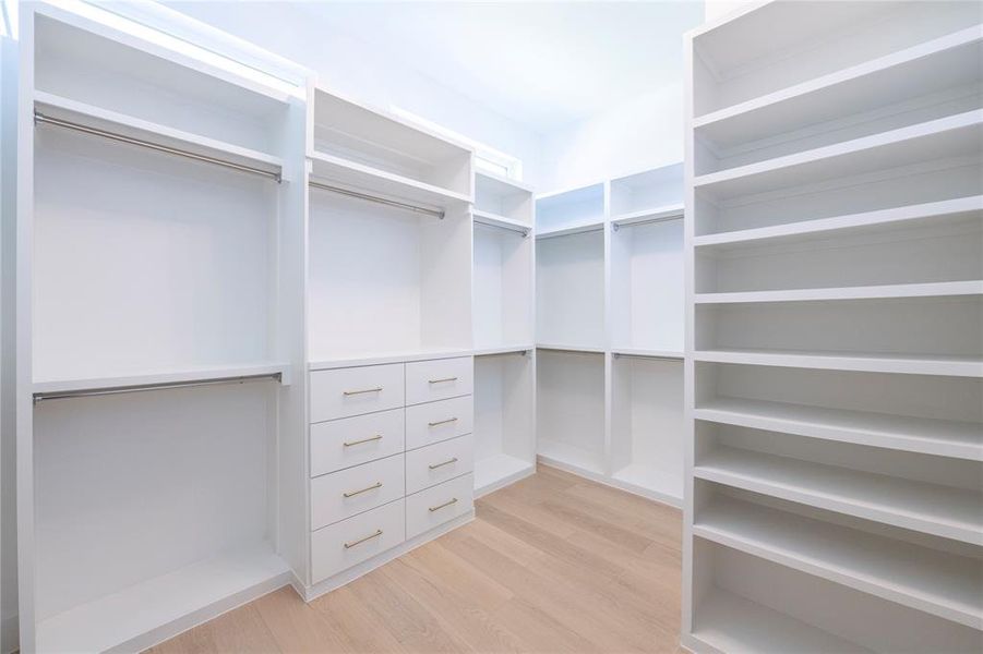 Spacious closet featuring light wood-type flooring