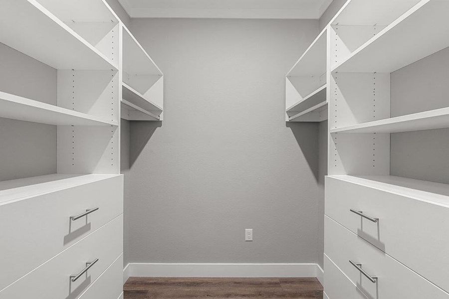 Walk in closet featuring dark wood-style floors