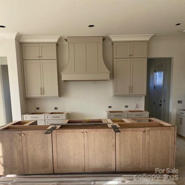 In-progress construction of a new home in , Davidson, NC (Image 43).