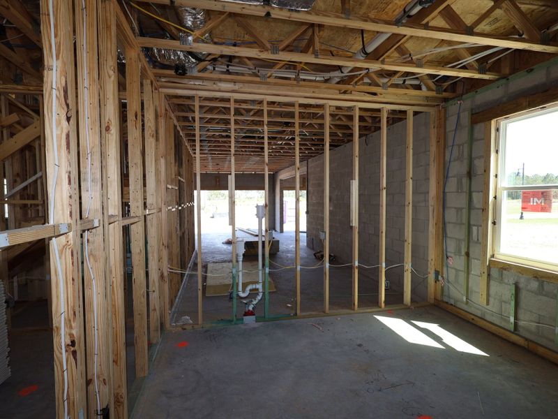Framing Framing