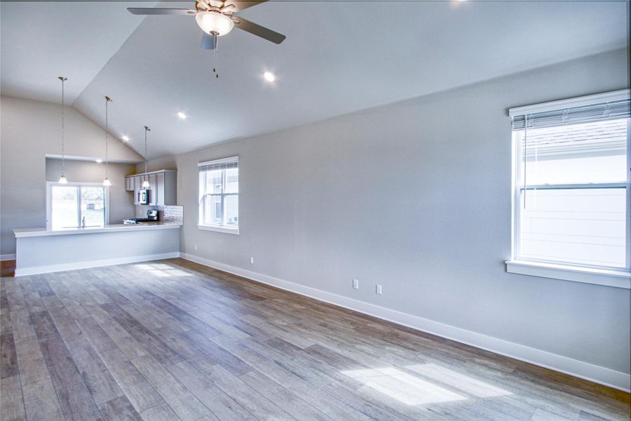 Family / dining area