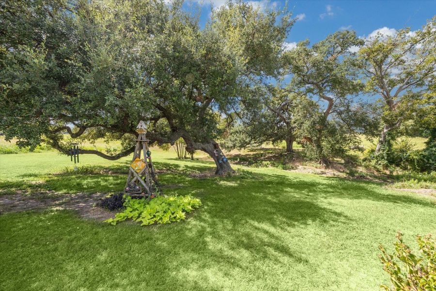 Natural landscape and outdoor views near  in Brenham (Image 13).