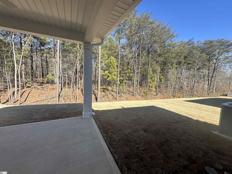 Exterior details and patio area of a home in Shiloh Trail, Wellford (Image 28).