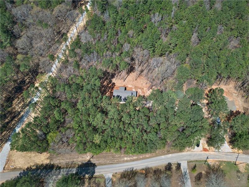 Natural landscape and outdoor views near  in Cedartown (Image 31).