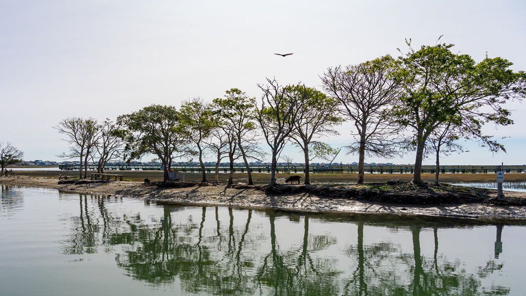 Image 14 of a home in Heron Pointe. Image 14 of a home in Heron Pointe.