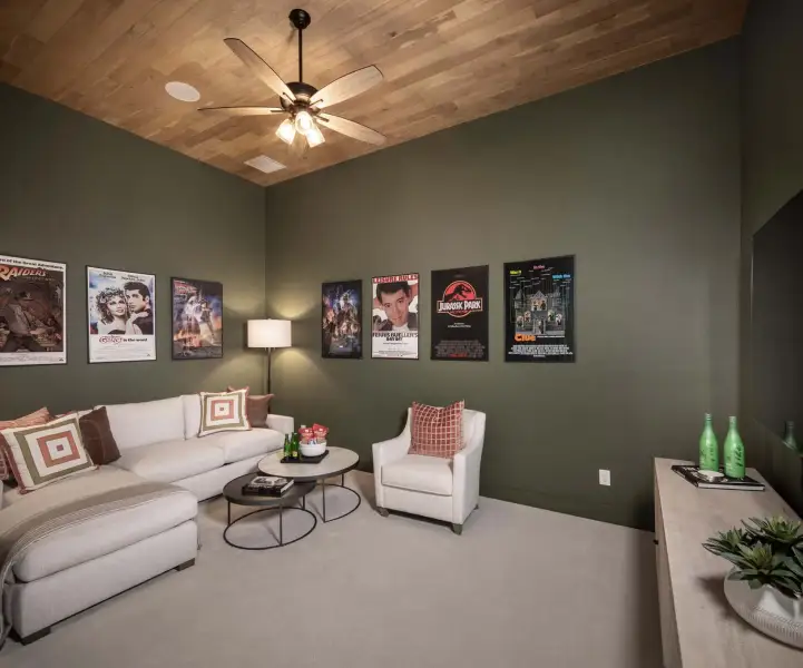 Representative Entertainment Room - some options shown