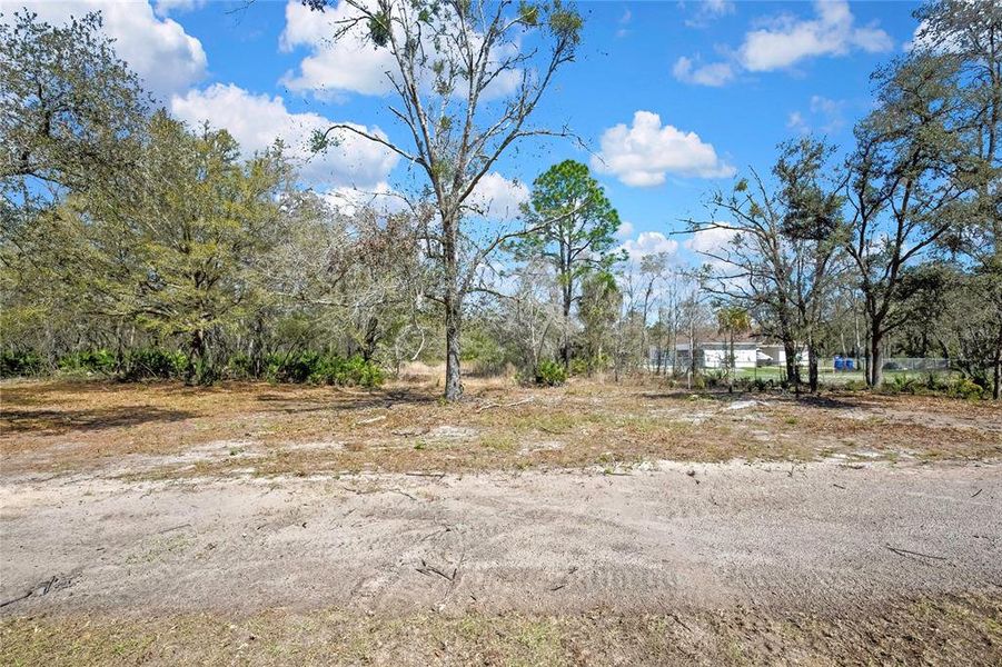 Natural landscape and outdoor views near  in Crystal River (Image 56).