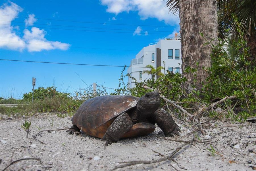 Image 45 of a home in .