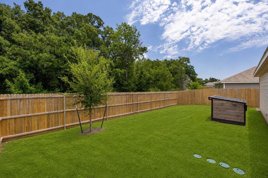 Expansive backyard featuring a manicured lawn, full privacy fencing, and mature trees beyond the property line