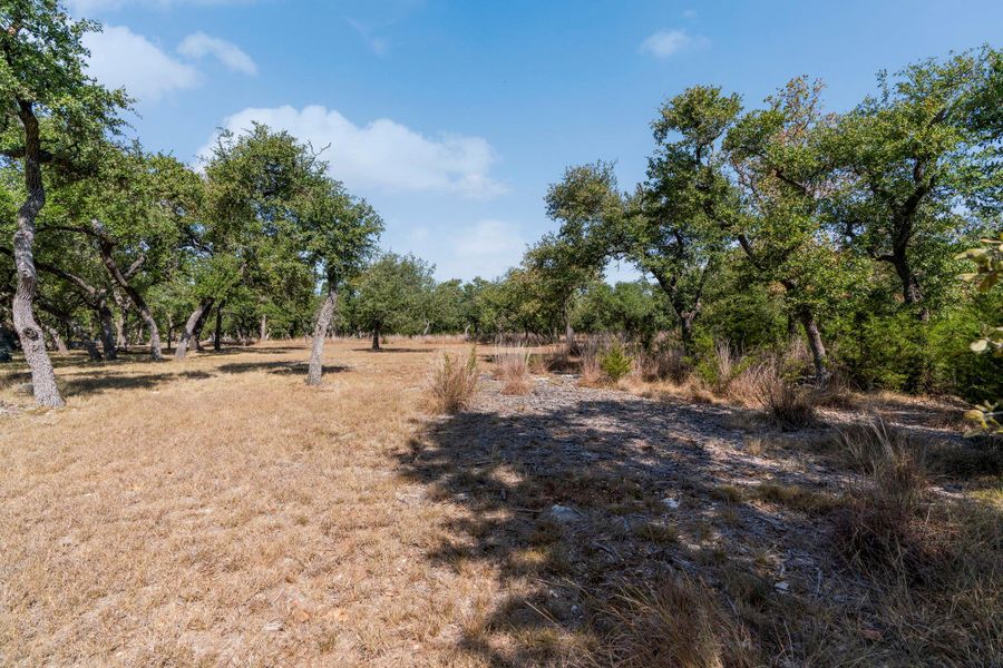 Natural landscape and outdoor views near  in Wimberley (Image 28).