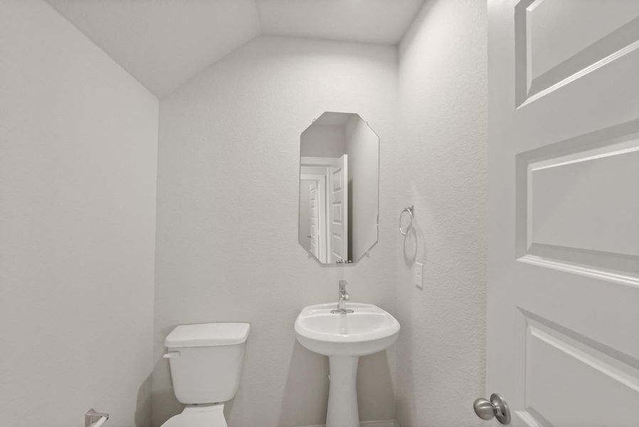 representative photo