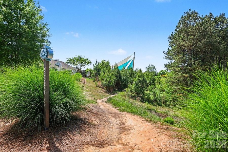 Natural landscape and outdoor views near Walnut Creek in Lancaster (Image 40).