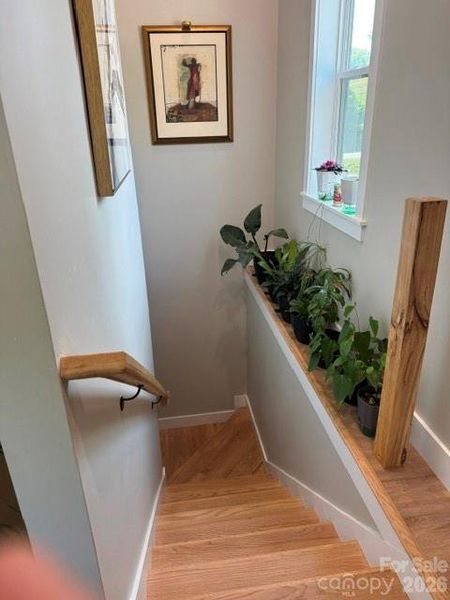 Real Wood Staircase to Lower level Real Wood Staircase to Lower level