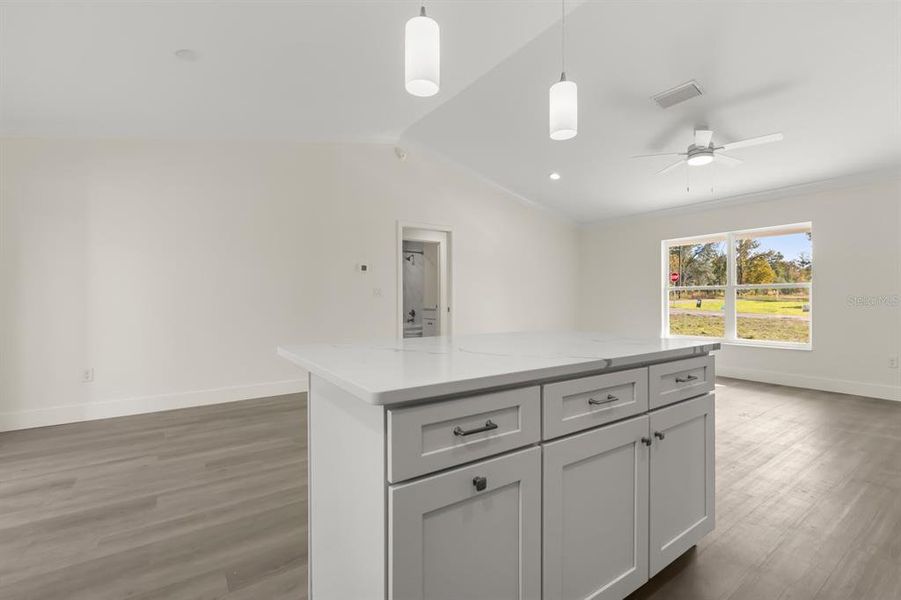 Furnished interior view inside a new home in , Ocklawaha (Image 8).