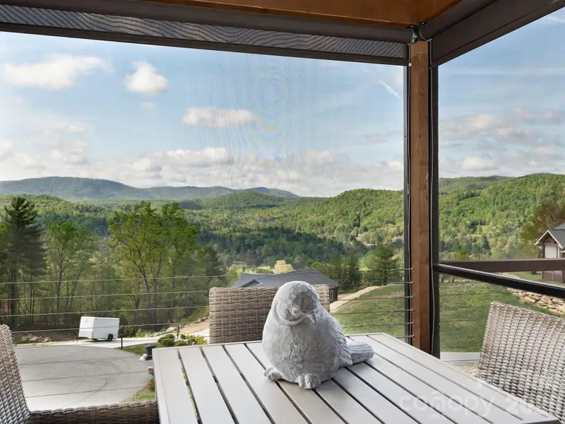 Exterior details and patio area of a home in , Hendersonville (Image 4).