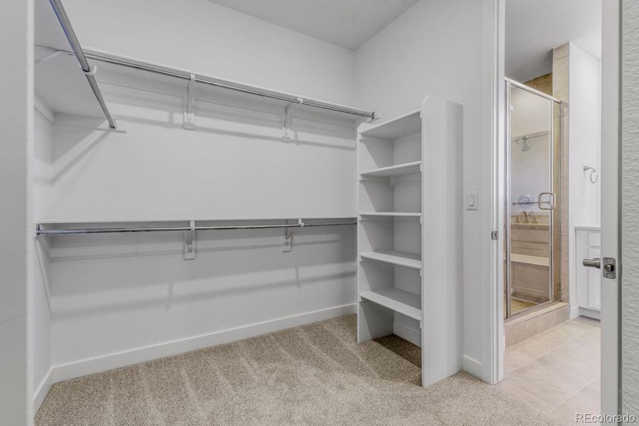 Spacious, unfurnished interior of a new home in Macanta: The Grand Collection, Castle Rock (Image 8).